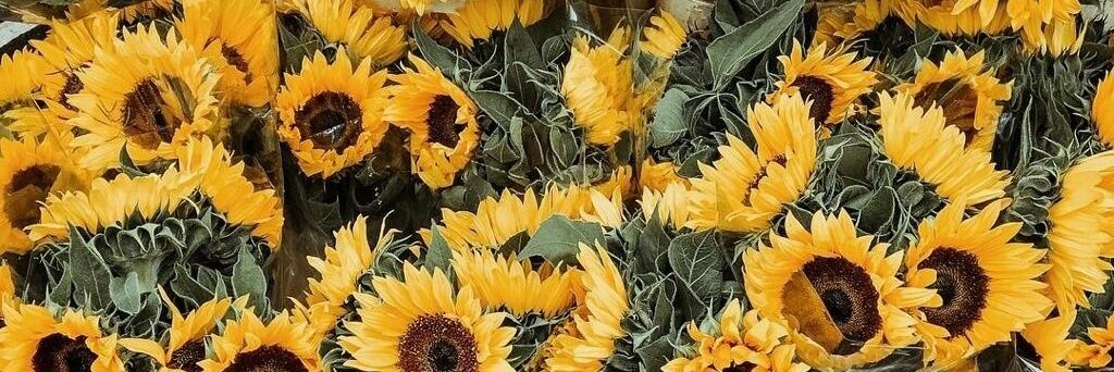 ChucksLove's profile banner image