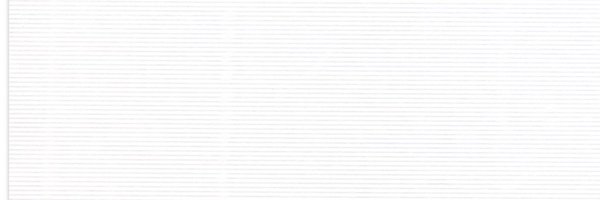 fnz_2025_4 Profile Banner