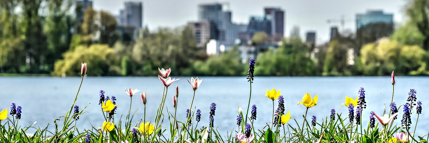 IPC Groene Ruimte banner