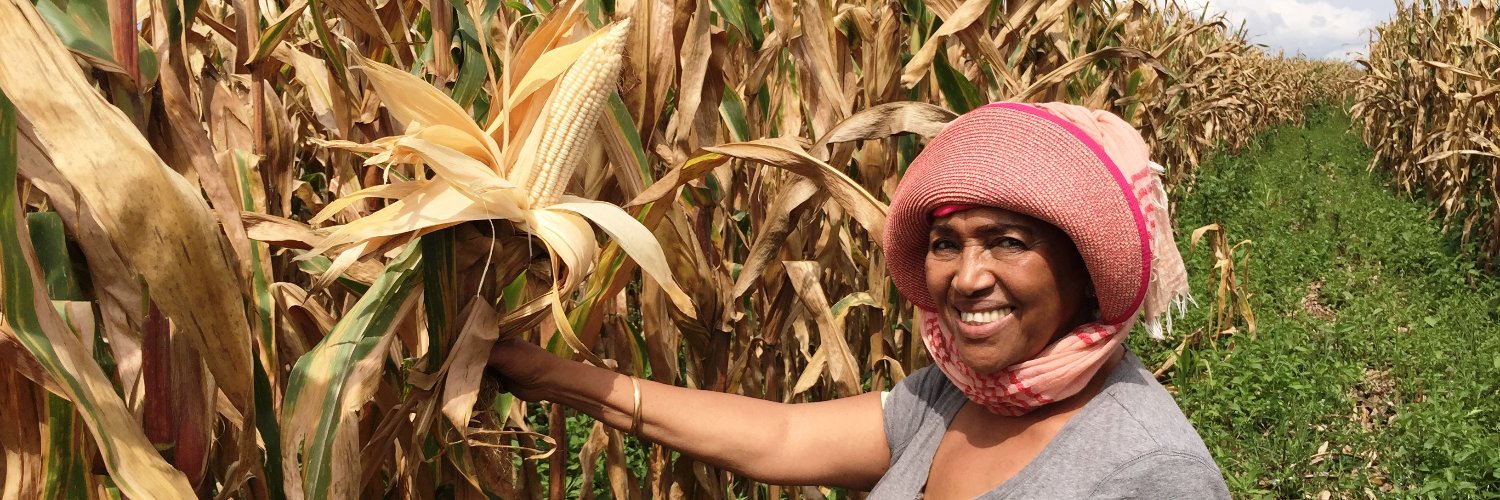 Seed Systems Group banner