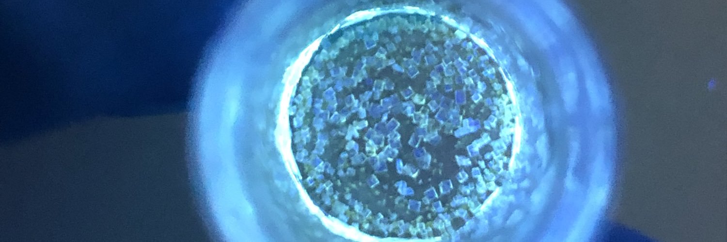 Etienne Gauthier banner