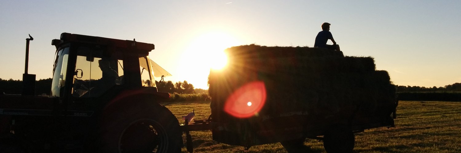 tadeboer's profile banner image