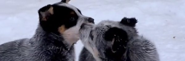 MichaelRacers Profile Banner