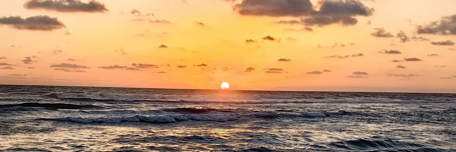 mfdllr's profile banner image