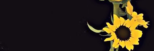 ListiYM's profile banner image