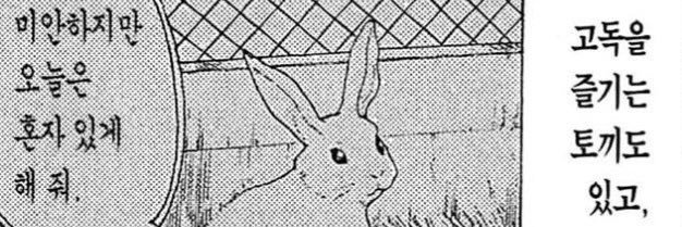 ✨툑기🐰(ᓀ ‸ ᓂ)✨ banner