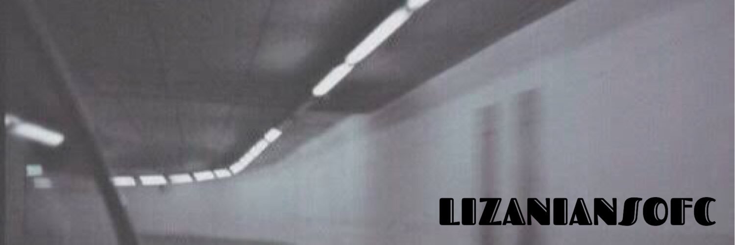 LIZANIANSOFC's profile banner image