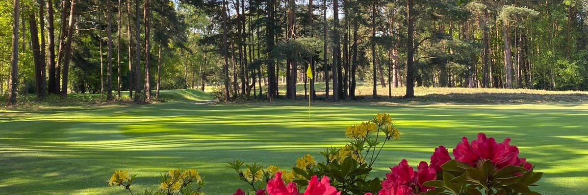 Sunningdale Heath banner