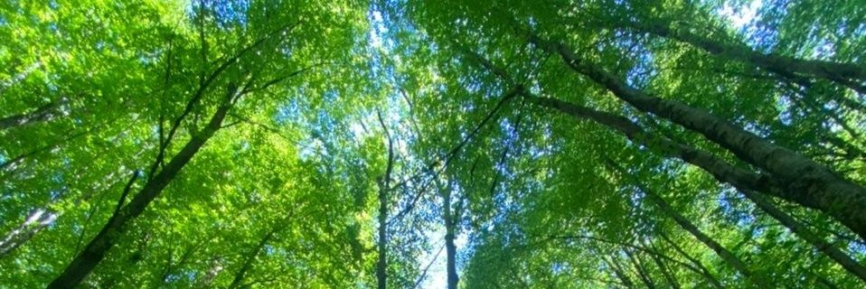 k_Fallahi's profile banner image