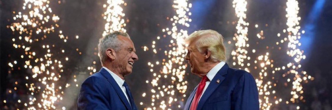 Ronnie Rustbelt banner