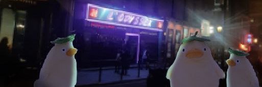 Sacha du bourg-pastèque banner