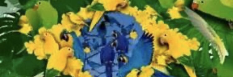 vanialuciamw's profile banner image