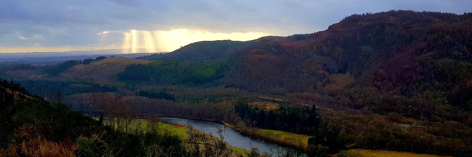 Charlotte Crowe banner