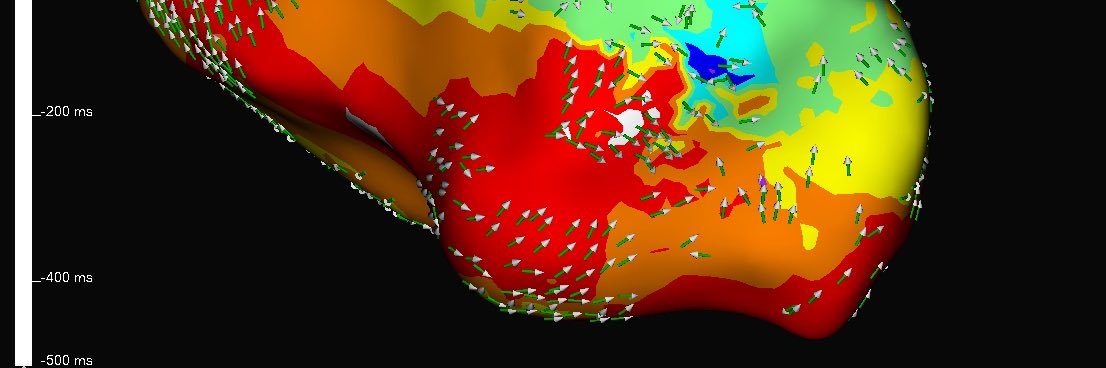 Sebastian Munoz banner