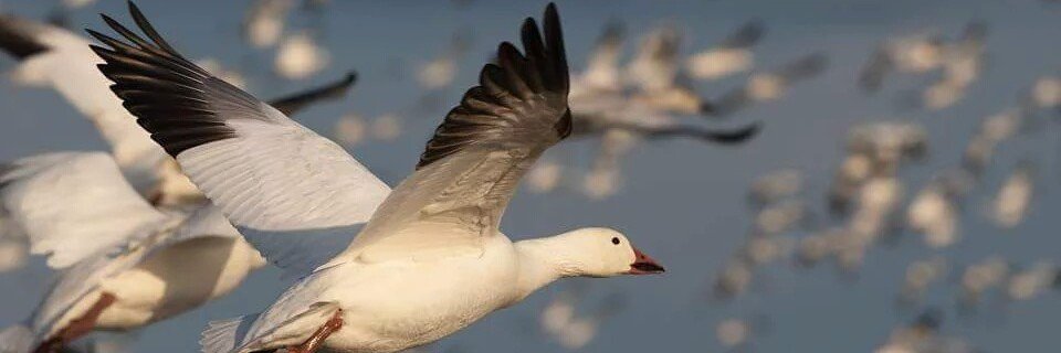 murat_orumlu's profile banner image