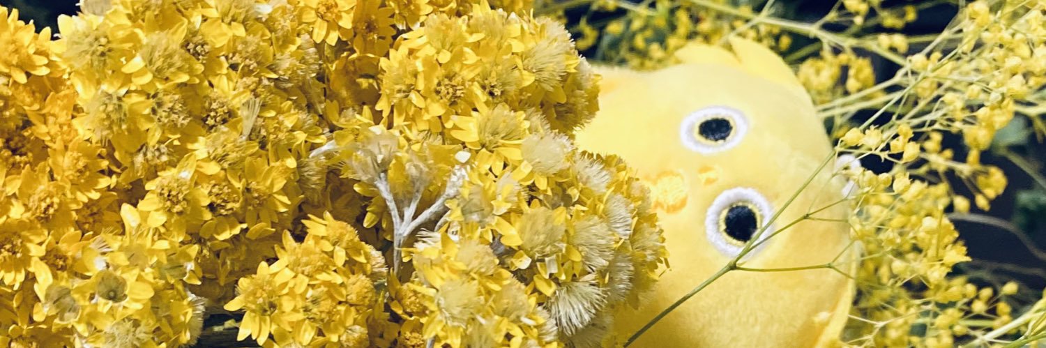とんち banner