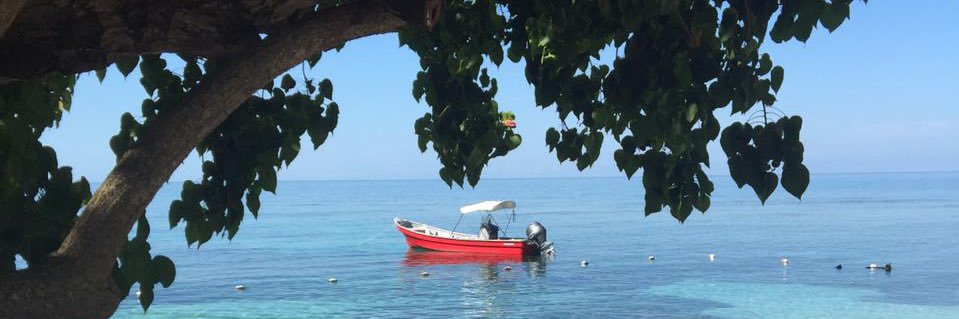 Debbie Sorrell banner