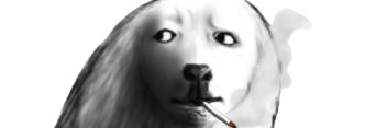 Inu_D0g's profile banner image