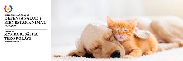 defensanimalpy Profile Banner