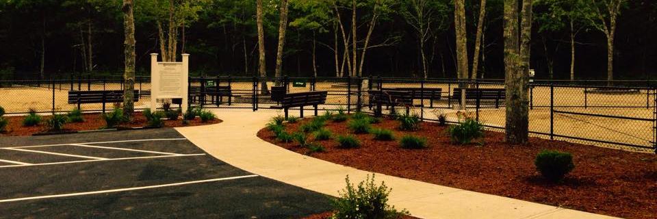 mashpeedogpark's profile banner image