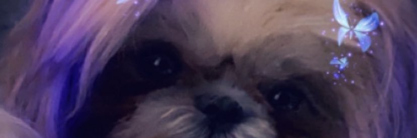 Bri Bri banner