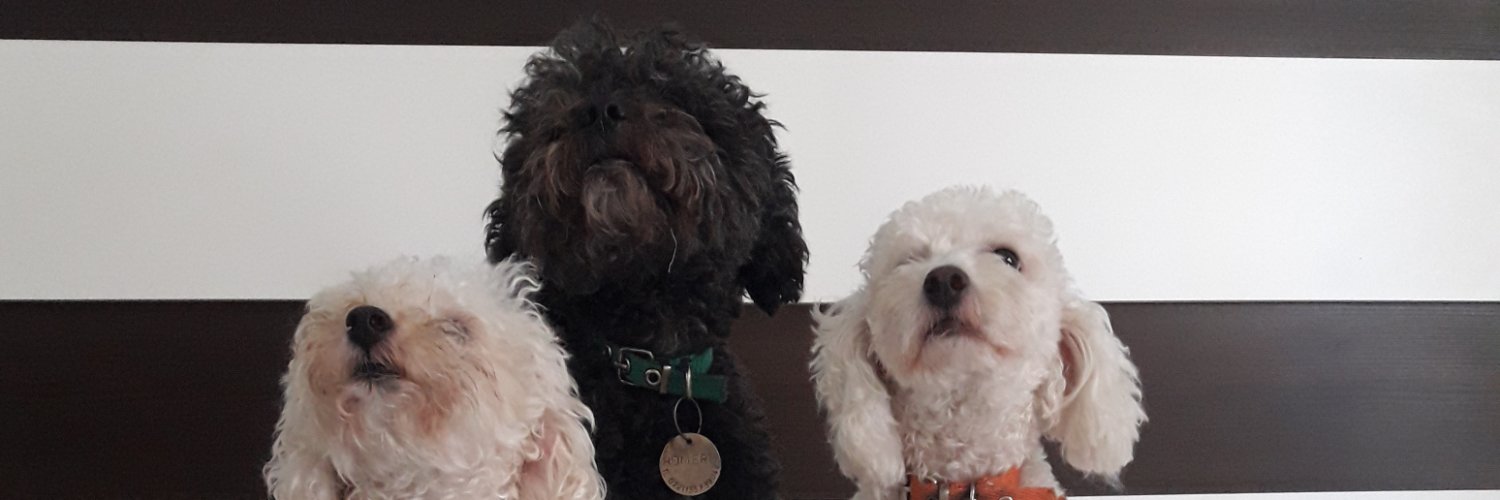 ProfSebastin's profile banner image