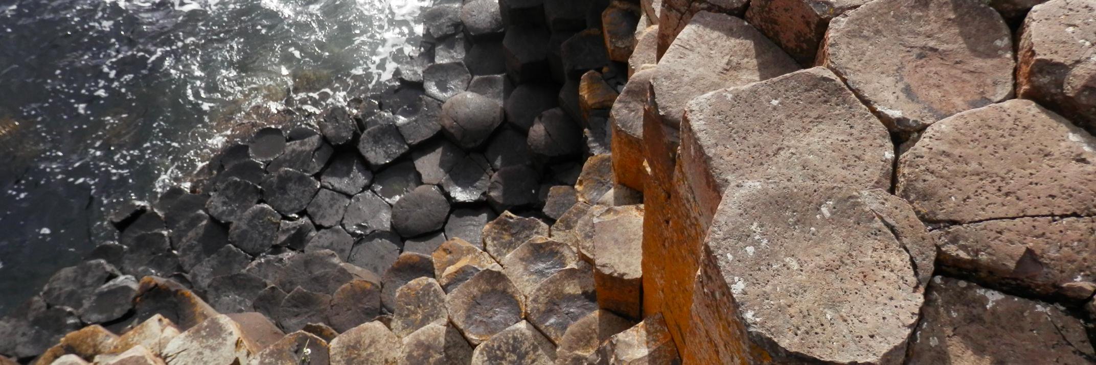 Lara Eggleton banner