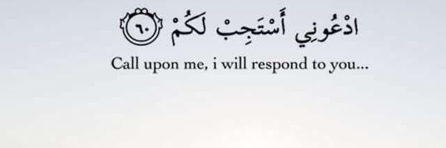 Mistys muse 🛍️ banner