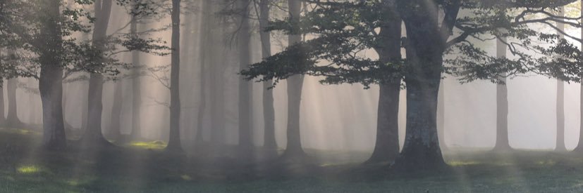 iraaaitz's profile banner image