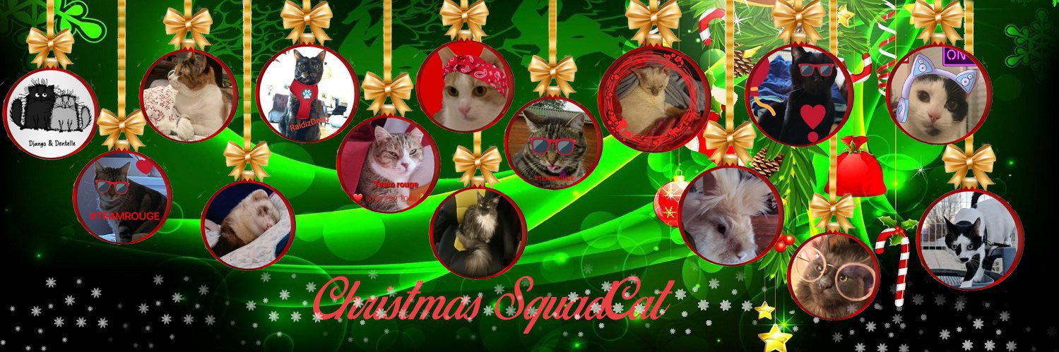 ✨✨Dr. Pounti banner