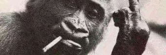 HATMONSTER1's profile banner image