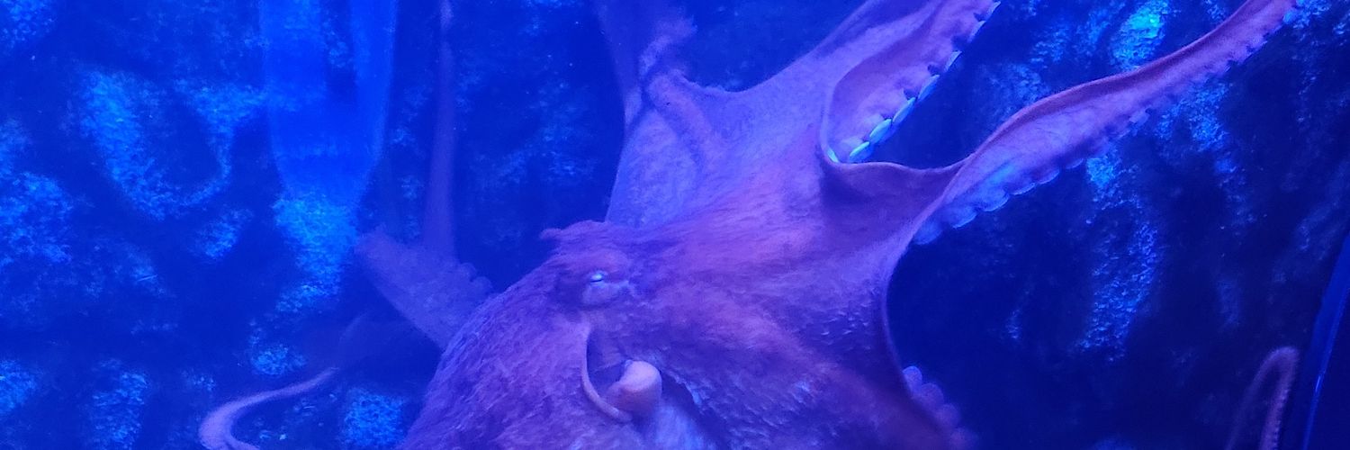 KRAMERwithaC's profile banner image