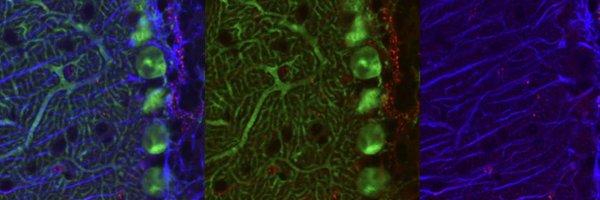 guilartelab Profile Banner