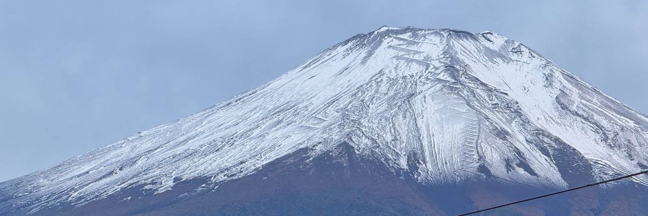 piccoro_coro's profile banner image