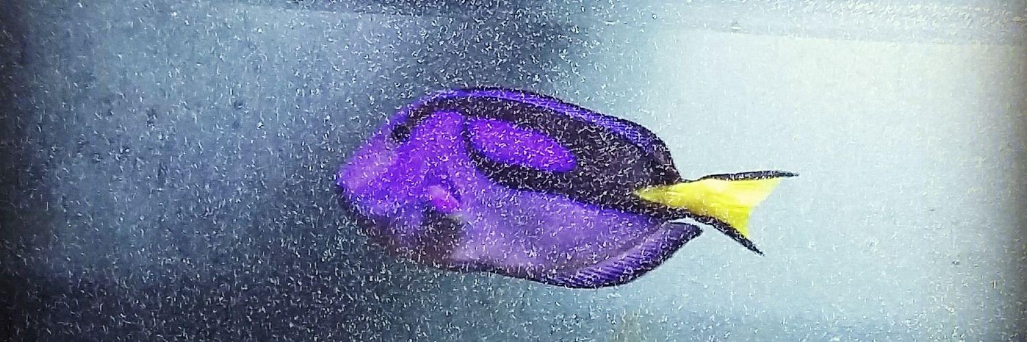 caaitcook's profile banner image
