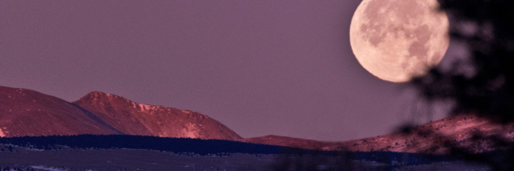 L'Indépendant's banner
