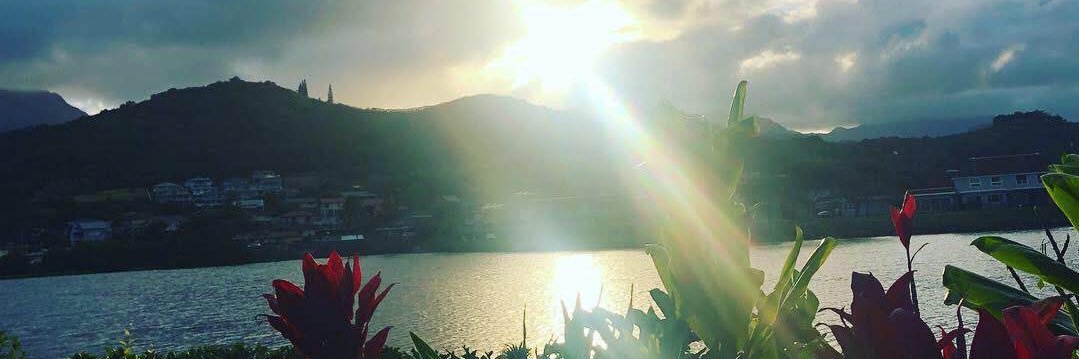 Reparations.Sol banner