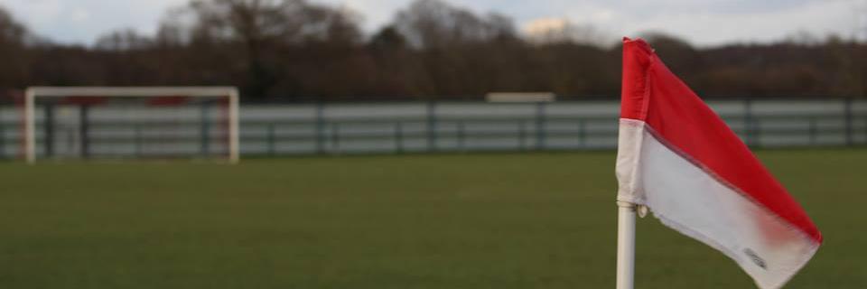 Hampshire County Womens Football League banner