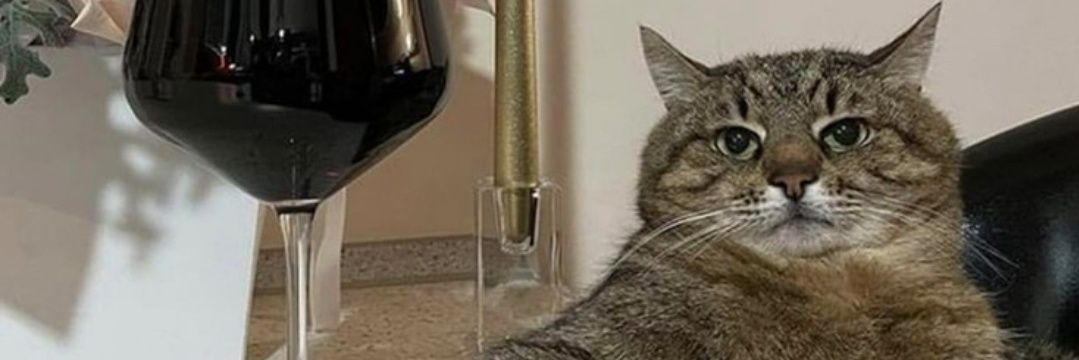 That Rude Cat.'s banner