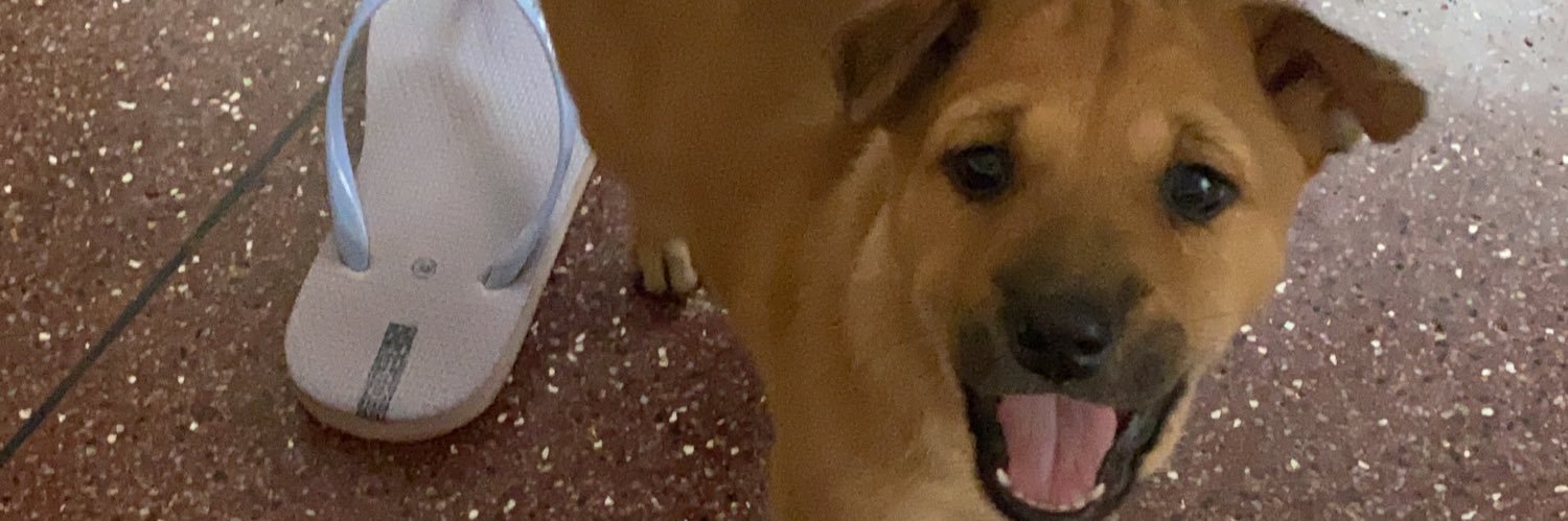 shinymendis's profile banner image