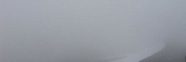 Watson_Dilraj Profile Banner