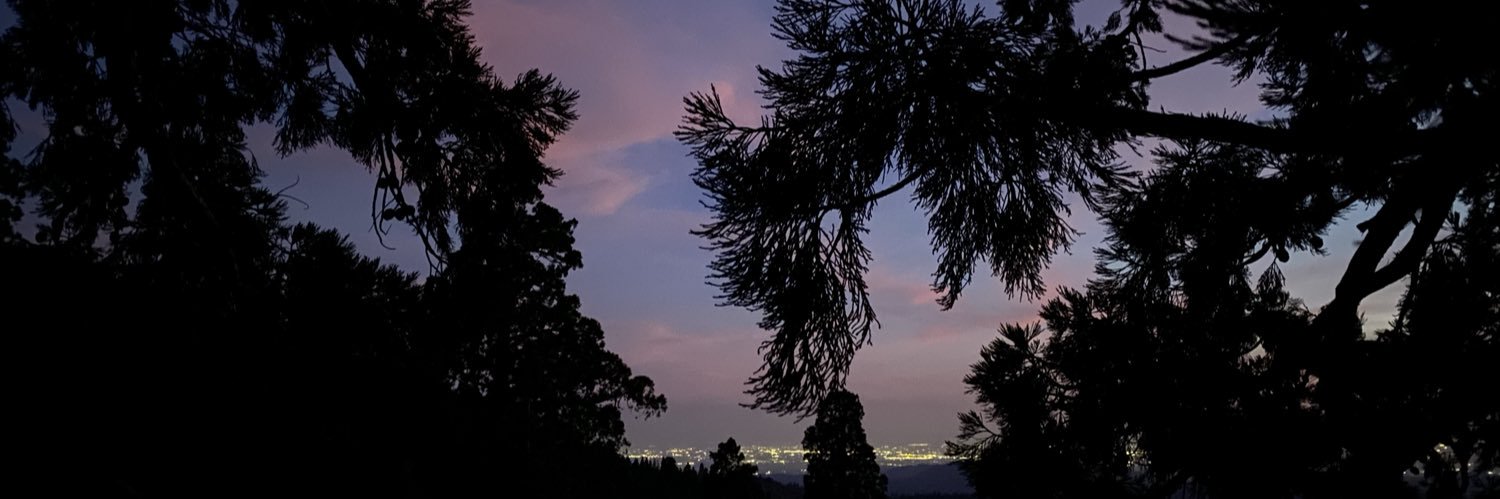 Bella Lin banner