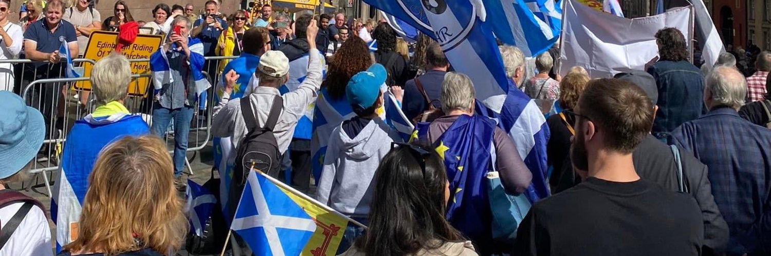 Nikita Bassi's banner