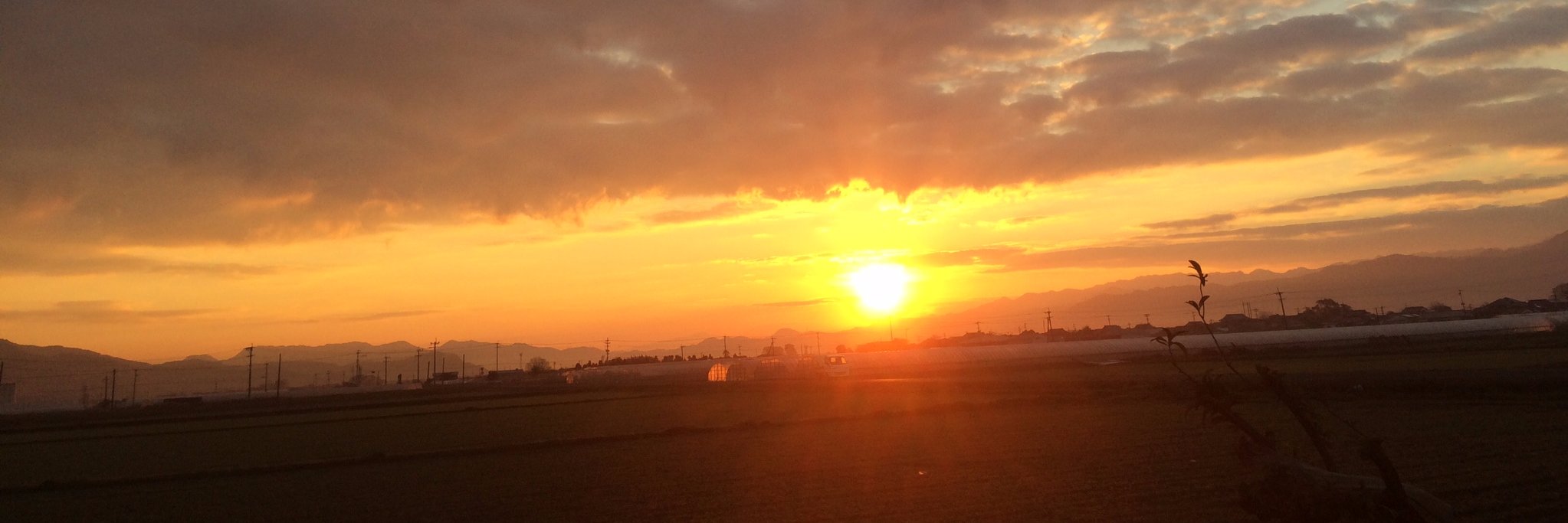 源志心” T.Morooka Revolist banner