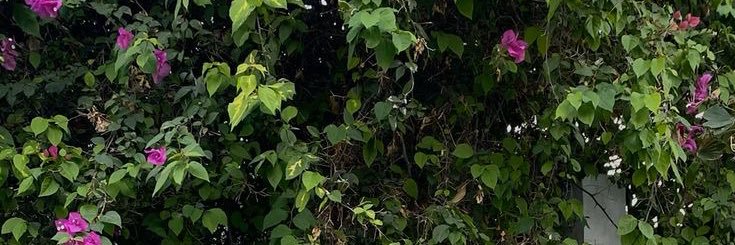 ulisssss_'s profile banner image