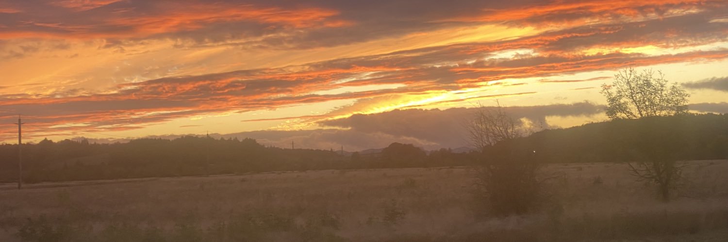 saveypood's profile banner image