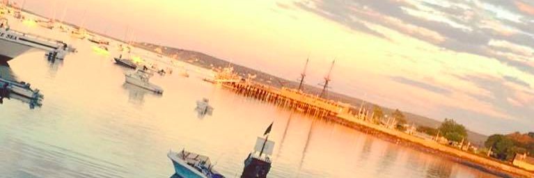 Lisam6984's profile banner image