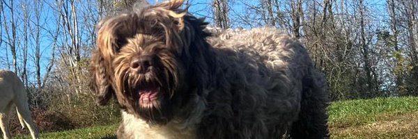 GaleChevalier1 Profile Banner