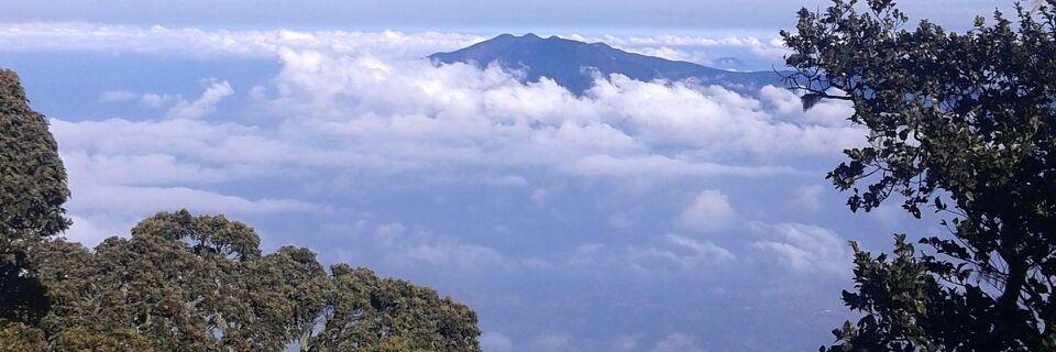 Nur Mutmainah banner