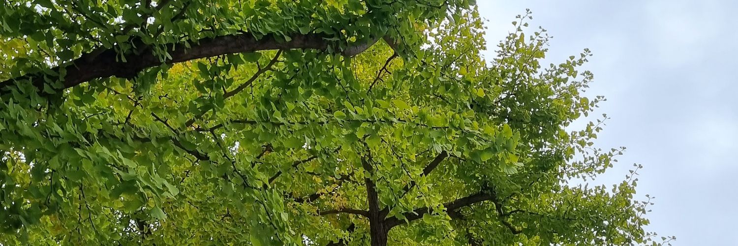 tuna ☆ con prep banner